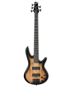 Australis Electric Basses IBANEZ SR205SM NGT BASS 5 STRING