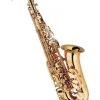 PRO MUSIC Saxophones J MICHAEL STUDENT ALTO SAXOPHONE-LACQUER