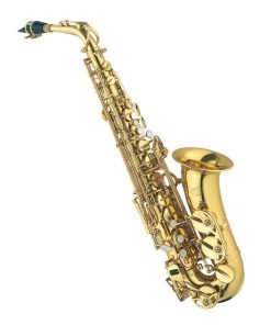 PRO MUSIC Saxophones J MICHAEL ALTO SAXOPHONE LACQUER