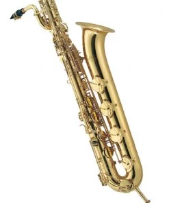 PRO MUSIC J MICHAEL BARITONE SAXOPHONE OUTFIT Saxophones