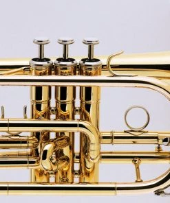 PRO MUSIC J MICHAEL Bb CORNET LACQUER