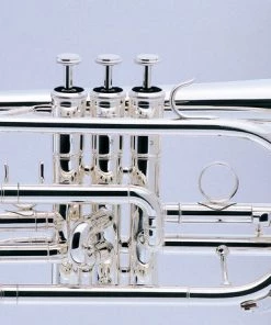 PRO MUSIC J MICHAEL SILVER PLATED CORNET Other Brass And Wind Instruments