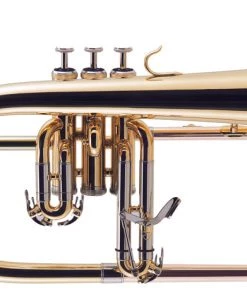 PRO MUSIC J MICHAEL Bb FLUGEL HORN-LACQUER