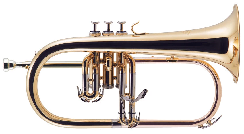 PRO MUSIC J MICHAEL Bb FLUGEL HORN-LACQUER 1 PRO MUSIC J MICHAEL Bb FLUGEL HORN-LACQUER