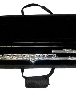 PRO MUSIC J MICHAEL 480C FLUTE W/ CASE Flutes