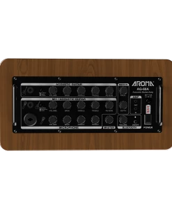 National Aroma AG-60A 60W Acoustic Guitar Rechargable Amplifier