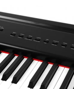 AMS Digital Pianos Artesia PA88H Digital Piano