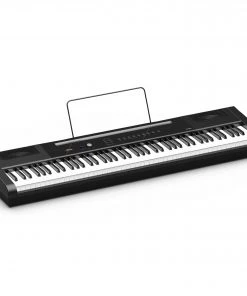 AMS Digital Pianos Artesia PA88H Digital Piano