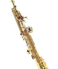 PRO MUSIC J MICHAEL SOPRANO SAXOPHONE LACQUER Saxophones