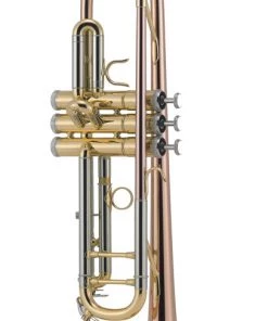 PRO MUSIC J MICHAEL DELUXE TRUMPET LACQUER Trumpets
