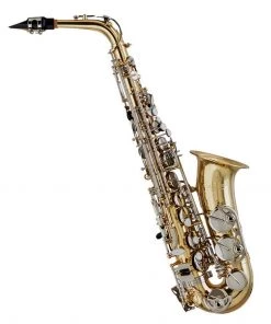 PRO MUSIC Blessing BAS-1287 Alto Saxophone (Eb) In Clear Lacquer Finish Saxophones