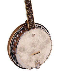 National Barnes & Mullins BJ500BW Empress 5-String Banjo