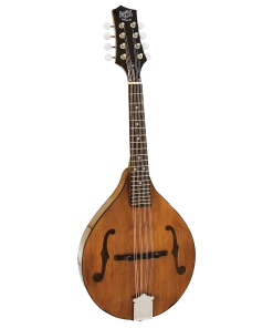 National Barnes & Mullins BM600E Wimborne Mandolin With Pickup
