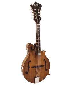 National Barnes & Mullins BM650 Salvino Mandolin Folk