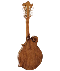 National Barnes & Mullins BM650 Salvino Mandolin Folk