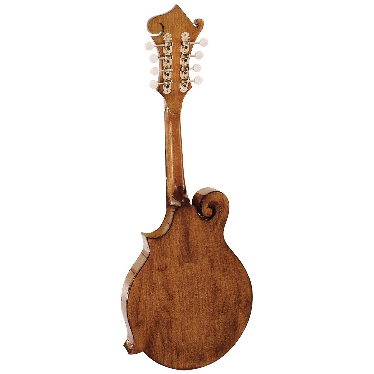 National Barnes & Mullins BM650 Salvino Mandolin Folk 2 National Barnes & Mullins BM650 Salvino Mandolin Folk