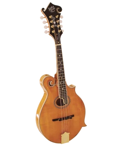 Maxx Music online store 2 National Barnes & Mullins BM700 Piercy Mandolin Folk