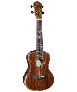 National Barnes & Mullins BMUK5CE Concert Walnut Ukulele With Pickup Concert Ukuleles