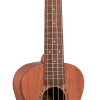 AMS 1880 UKULELE CO. 100 Series Concert Ukulele Concert Ukuleles