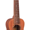 AMS 1880 UKULELE CO. 100 Series Soprano Ukulele