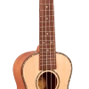 AMS 1880 UKULELE CO. 200 Series Concert Ukulele