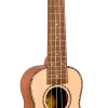 AMS 1880 UKULELE CO. 200 Series Soprano Ukulele