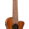 AMS 1880 UKULELE CO. 300 Series Concert Ukulele - Cutaway, Electric Acoustic