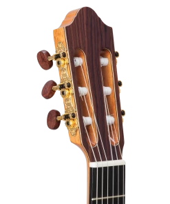 National Kremona F65CWSB Fiesta Classical C/E With Case