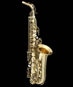 National Grassi AS20SK Alto Saxophone Pack Saxophones