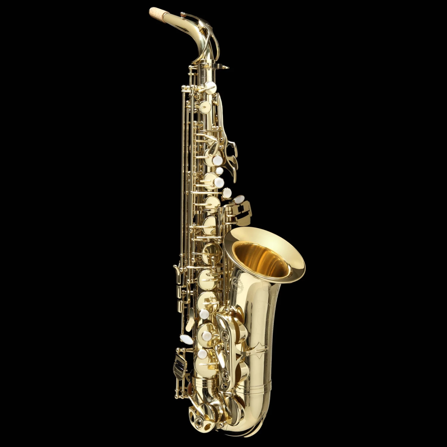National Grassi AS20SK Alto Saxophone Pack Saxophones 1 National Grassi AS20SK Alto Saxophone Pack Saxophones