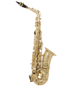 National Grassi AS20SK Alto Saxophone Pack Saxophones 9 National Grassi AS20SK Alto Saxophone Pack Saxophones