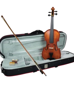 National Violins Hidersine Vivente Violin 1/2 Student Outfit