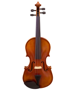 National Violins Hidersine HW3180A-P Vivente Academy 'Finetune' 4/4 Violin Student Outfit Setup With Thomastik Alphayue Strings