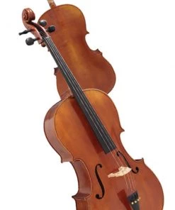 National Hidersine Reserve 4/4 Cello