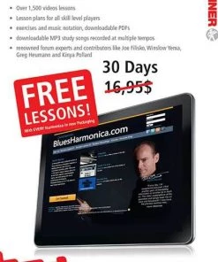 PRO MUSIC Harmonicas Hohner Hot Metal Harmonica - C