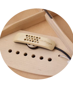 National LR Baggs ANTH Anthem Acoustic Guitar Pickup System With Element & Microphone Guitar Preamp/Pickups