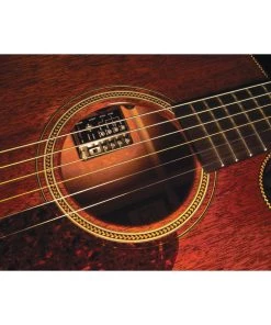 National LR Baggs IMIX Internal Soundhole Mixing Preamp W Remote