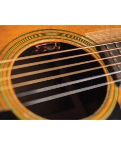 National Guitar Preamp/Pickups LR Baggs LYRIC-C Classical Microphone Guitar System