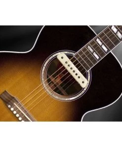 National LR Baggs M1A Active Soundhole Body-Sensitive Magnetic Pickup