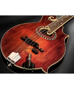 National LR Baggs RADM Radius Mandolin Pickup W/ JACK