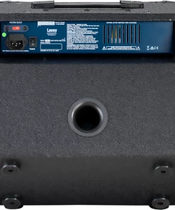 AMS Bass Amps Laney Richter RB2