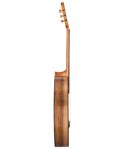 National Kremona Rondo RSE All Solid Spruce / Walnut Classic Guitar W/Case With LR Baggs Pickup