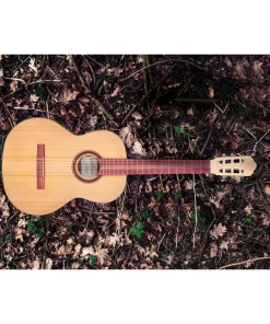 National Kremona S65CGG Sofia Green Globe Classic Guitar