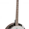 AMS Bryden 4 String Tenor Banjo Folk