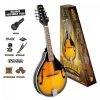 AMS Folk Bryden Mandolin Pack