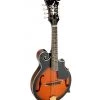 AMS Bryden F Scroll Mandolin Folk