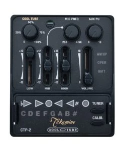 PRO MUSIC Takamine Legacy Series Upright AC/EL Fretless Bass With Cutaway