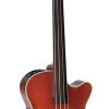 PRO MUSIC Takamine Legacy Series Upright AC/EL Fretless Bass With Cutaway