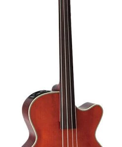 Maxx Music online store 14 PRO MUSIC Takamine Legacy Series Upright AC/EL Fretless Bass With Cutaway
