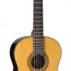 PRO MUSIC Takamine Pro Series Full Size Classical Guitar